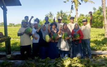 ‎Zefanya Kurniawan Ubah Lahan Panas Obel-Obel Jadi Ladang Emas, Panen Perdana Tembus 45 Ton Semangka