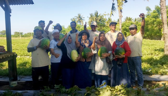 ‎Zefanya Kurniawan Ubah Lahan Panas Obel-Obel Jadi Ladang Emas, Panen Perdana Tembus 45 Ton Semangka