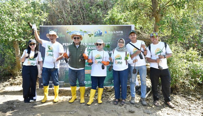 Peringati Hari Mangrove Sedunia dan HUT ke-62, Bank NTB Syariah Tanam Mangrove di Kawasan Ekowisata Paremas