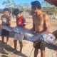 Heboh! Oarfish Diduga Muncul di Pantai Pink 3 Lombok Timur, Benarkah Pertanda Bencana?