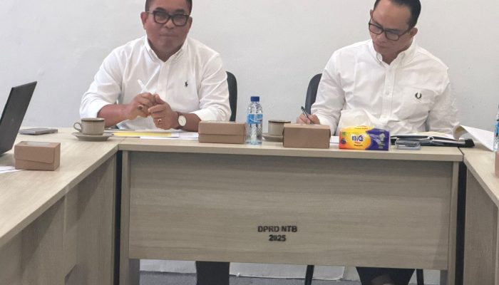 Komisi IV DPRD NTB Dorong Raperda Pertambangan Rakyat Berbasis Kepastian Hukum, Keselamatan, dan Keadilan Masyarakat Lokal
