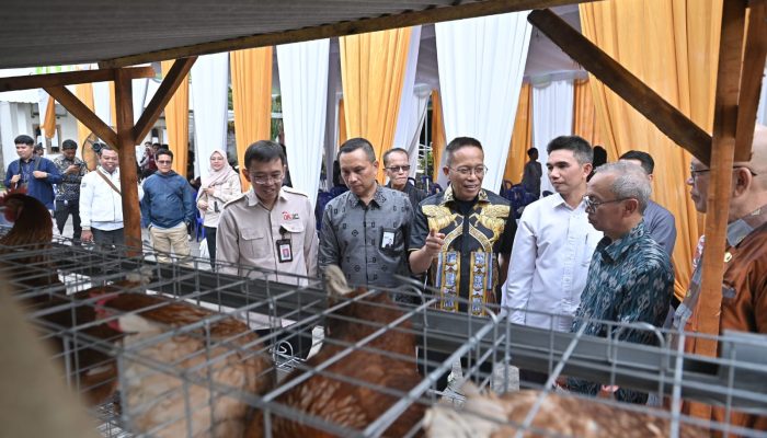 Bank NTB Syariah Salurkan Bantuan Budidaya Ayam Petelur untuk 20 Warga Lombok Timur, Dukung Program Desa Berdaya NTB