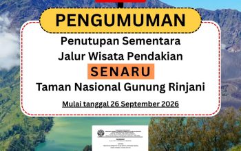 Kebakaran hutan mengarah ke Pelawangan Senaru Gunung Rinjani